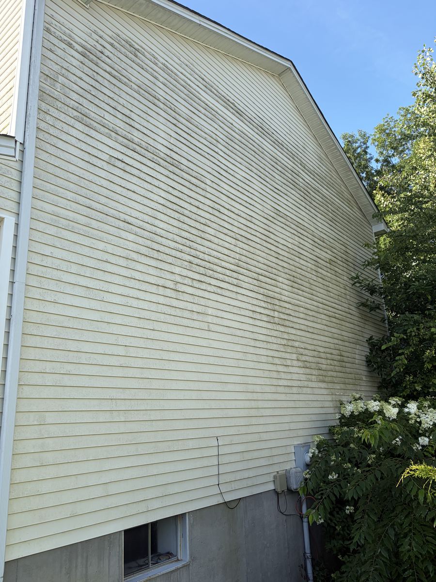Before — exterior surface before pressure washing